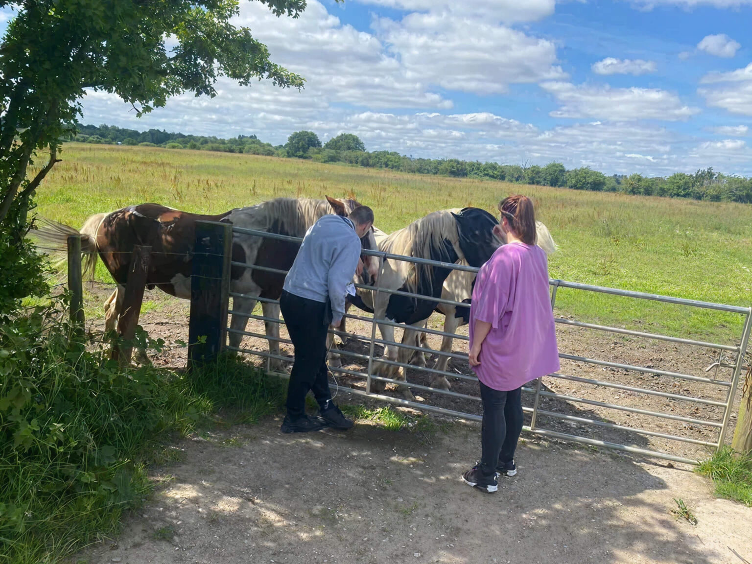 statement of purpose